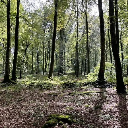 Le Courtil Holiday home