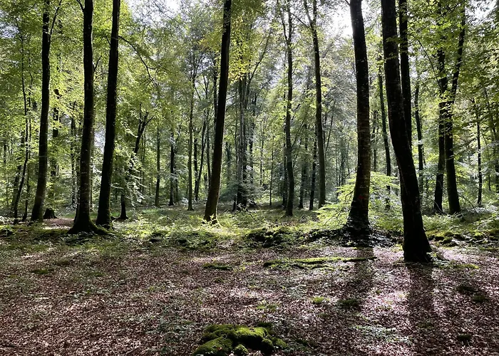 Le Courtil 度假居